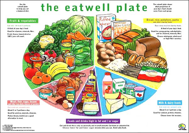Comic Company - Eatwell Guide/Plate