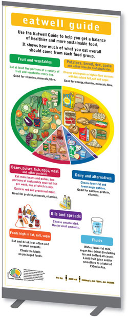 code 591 - EATWELL GUIDE BIG-UP BANNER Eatwell Guide Banner